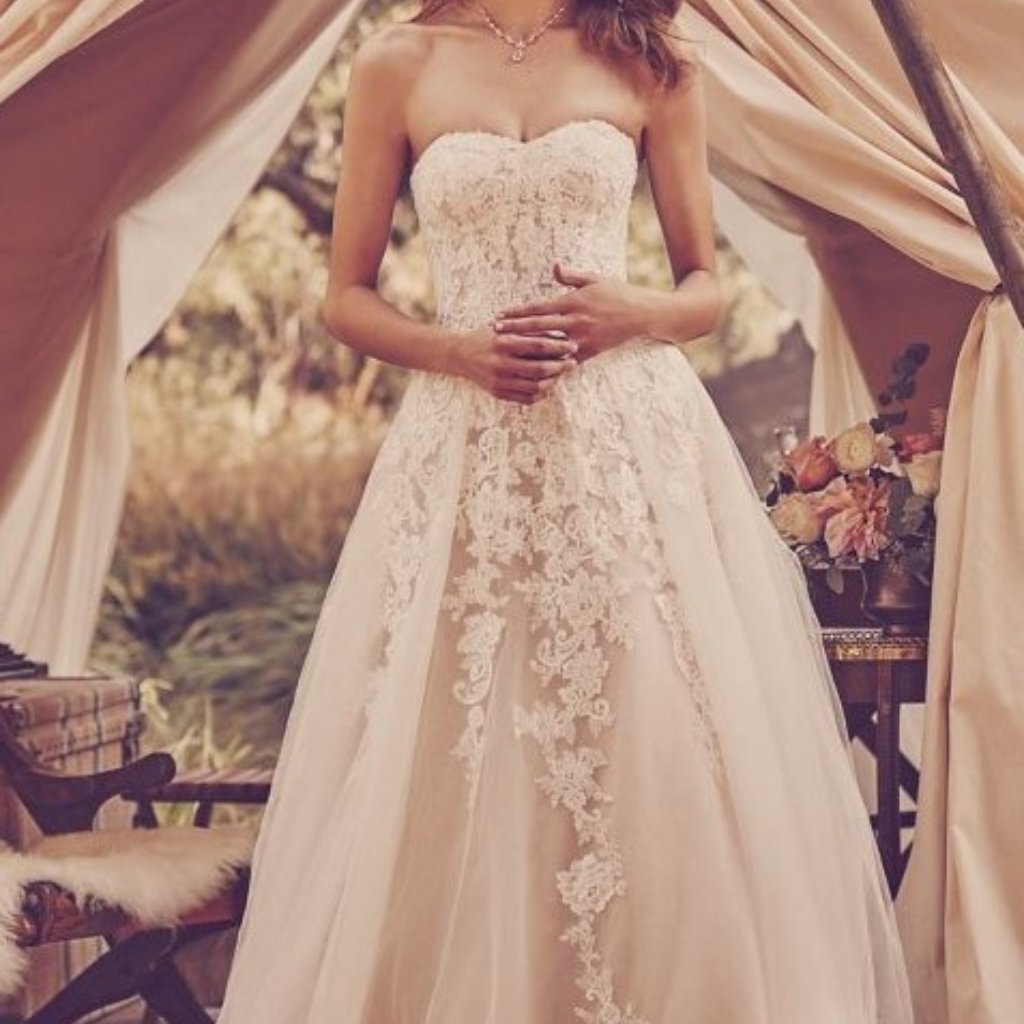 David's Bridal Tinley Park, IL - Last Updated January 2026 - Yelp, image size:1024x1024